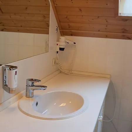 Ferienhaus Auerhahn Auerhahn 502 *