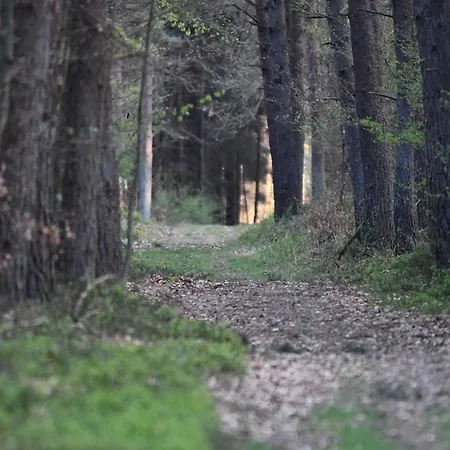 Nyaraló Behagliches In Ruhiger Lage Im Harz